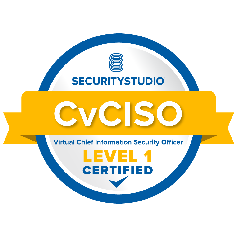 CvCISO Virtual Chief Information Security Officer Level 1