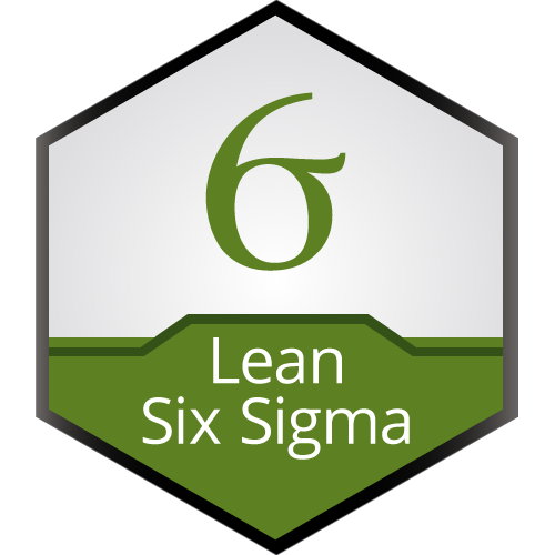 Lean Six Sigma Green Belt